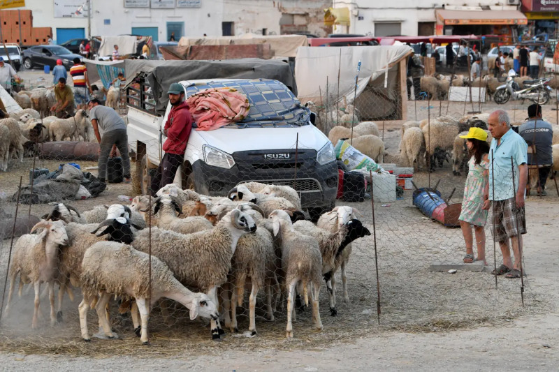 Ghala, prix fantastiques: la facture de l'Aïd pour les Tunisiens