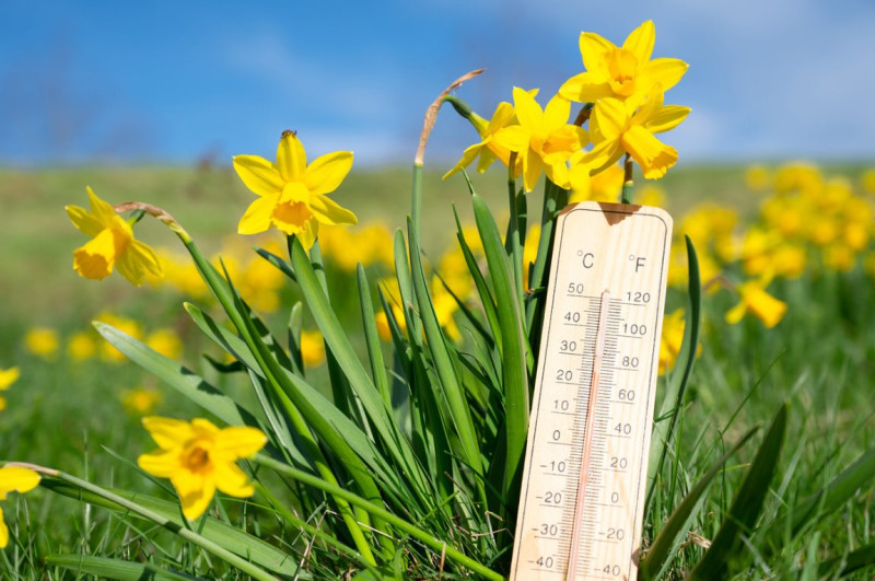 Le thermomètre grimpe: un printemps torride
