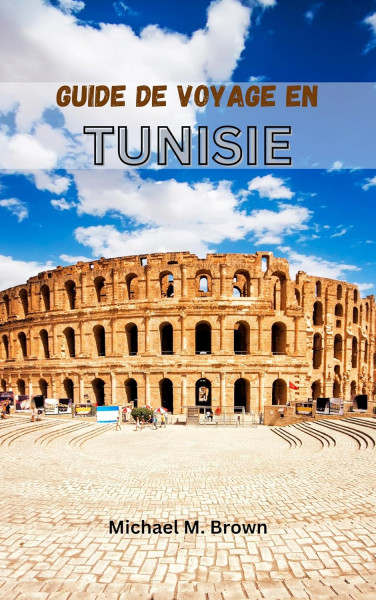 UFO en Tunisie: De nouveaux mystères célestes ébranlent les croyances et les théories